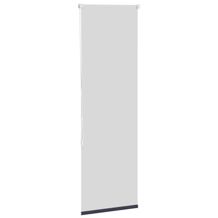 Jaluzea cu role opace 40x175 cm lățime material 35,7 cm WALTI