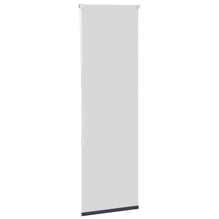 Jaluzea cu role opace 60x175 cm lățime material 55,7 cm - WALTI WALTI