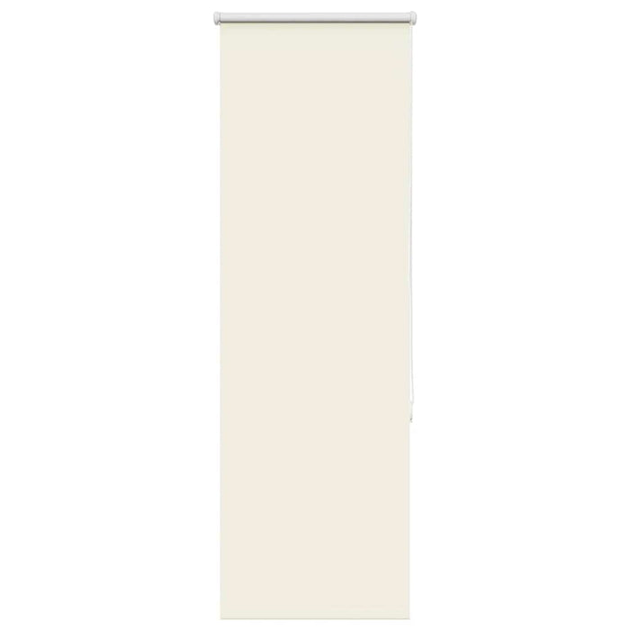 Jaluzea cu role opace Ivoar 60x130 cm lățime material 55,7 cm - WALTI WALTI