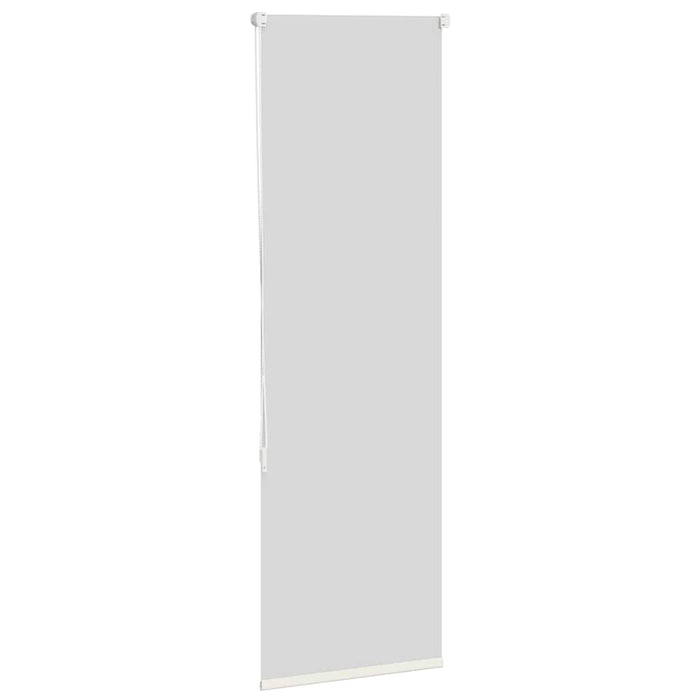 Jaluzea cu role opace Ivoar 50x150 cm lățime material 45,7 cm WALTI