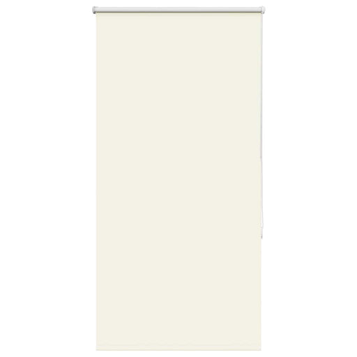 Jaluzea cu role opace Ivoar 65x150 cm lățime material 60,7 cm - WALTI WALTI