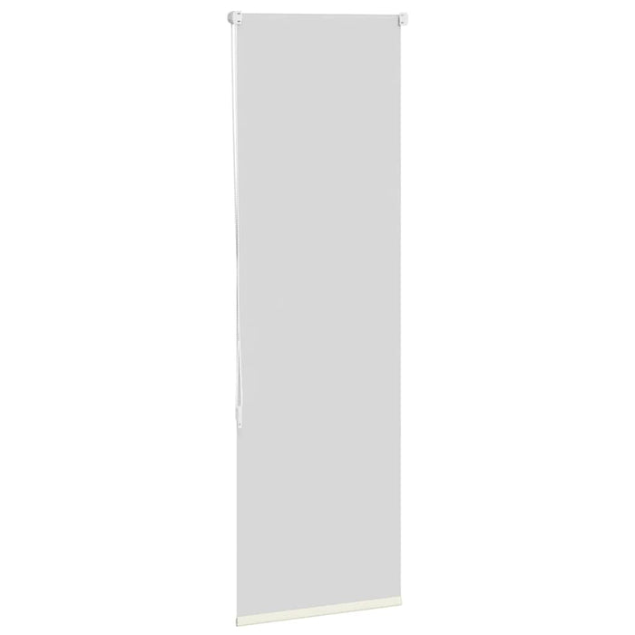 Jaluzea cu role opace Ivoar 60x175 cm lățime material 55,7 cm WALTI