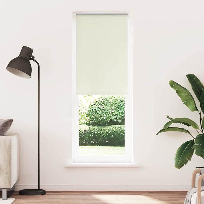Jaluzea cu role opace Ivoar 65x210 cm lățime material 60,7 cm - WALTI WALTI
