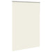 Jaluzea cu role opace Ivoar 150x230 cm Lățime material 146,6 cm - WALTI WALTI