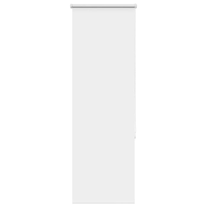 Jaluzea cu role opace alb 60x130 cm lățime material 55,7 cm - WALTI WALTI