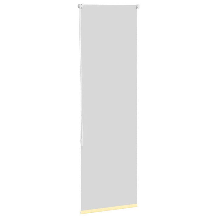 Jaluzea cu role opace galben 55x150 cm lățime material 50,7 cm - WALTI WALTI