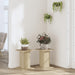 Suporturi plante 2 buc. stejar sonoma 30x30x40cm lemn prelucrat - WALTI WALTI