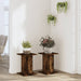 Suporturi de plante 2 buc. stejar fumuriu 30x30x40 cm lemn - WALTI WALTI