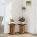 Suporturi de plante 2 buc. lemn vechi 30x30x40cm lemn prelucrat - WALTI WALTI