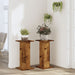 Suporturi de plante 2 buc. lemn vechi 30x30x60cm lemn prelucrat - WALTI WALTI