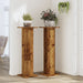 Suporturi de plante 2 buc. lemn vechi 30x30x95cm lemn prelucrat - WALTI WALTI