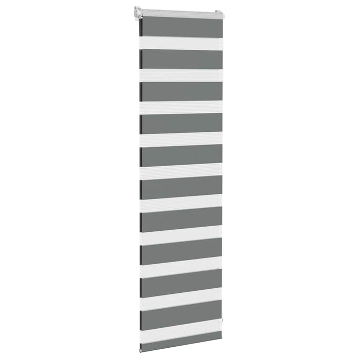 Jaluzea tip zebra gri închis lățime țesătură 40,9 cm poliester - WALTI WALTI