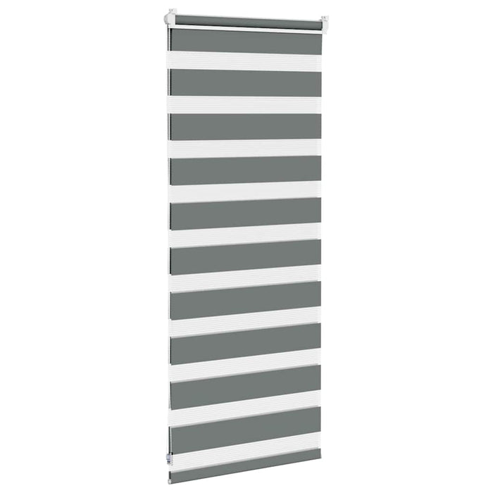 Jaluzea tip zebra gri închis lățime țesătură 50,9 cm poliester - WALTI WALTI