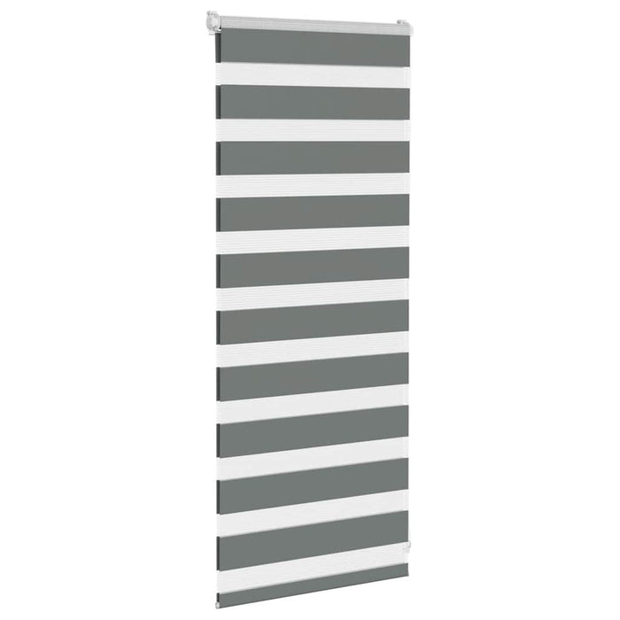 Jaluzea tip zebra gri închis lățime țesătură 55,9 cm poliester - WALTI WALTI