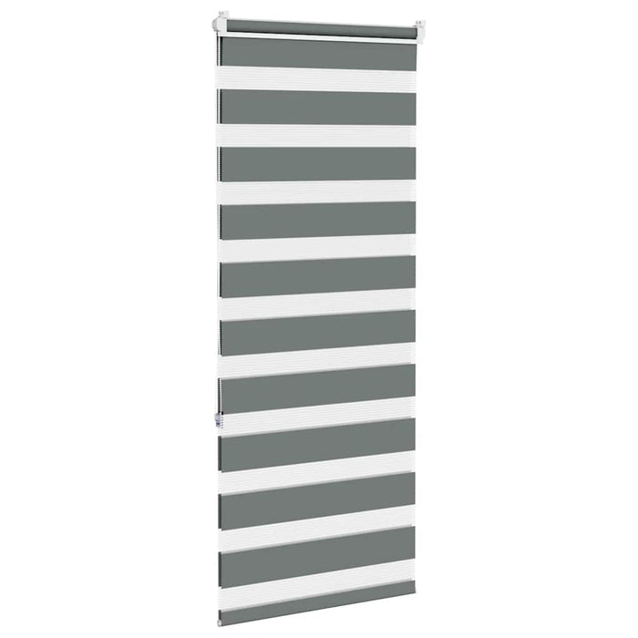 Jaluzea tip zebra gri închis lățime țesătură 50,9 cm poliester - WALTI WALTI