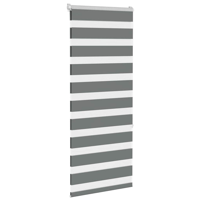 Jaluzea tip zebra gri închis lățime țesătură 55,9 cm poliester - WALTI WALTI