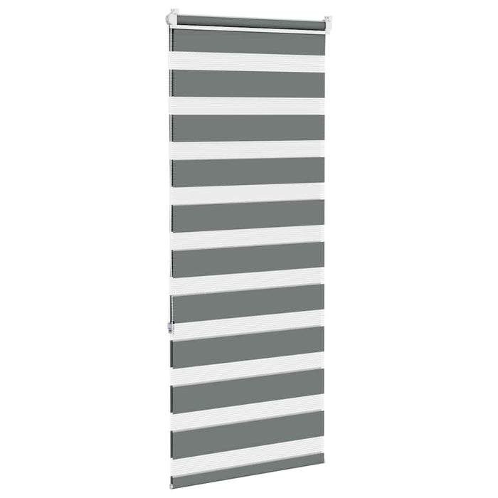 Jaluzea tip zebra gri închis lățime țesătură 55,9 cm poliester - WALTI WALTI
