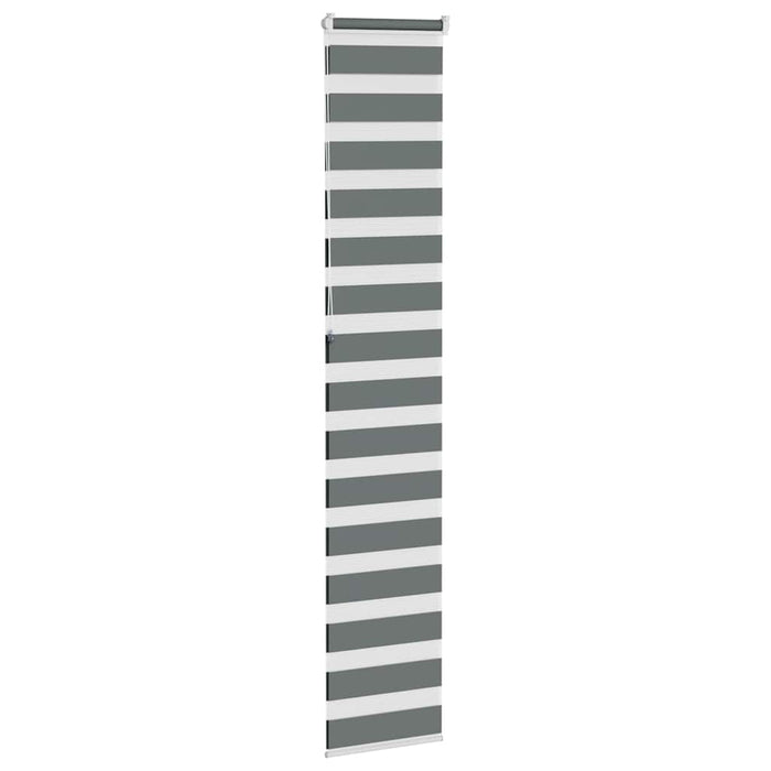 Jaluzea tip zebra gri închis lățime țesătură 40,9 cm poliester - WALTI WALTI