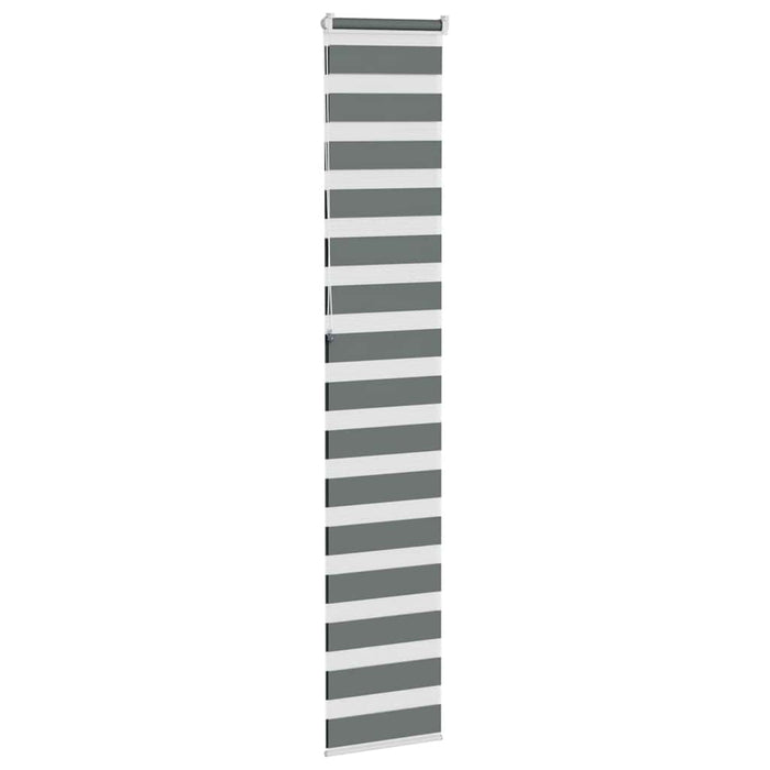 Jaluzea tip zebra gri închis lățime țesătură 45,9 cm poliester - WALTI WALTI