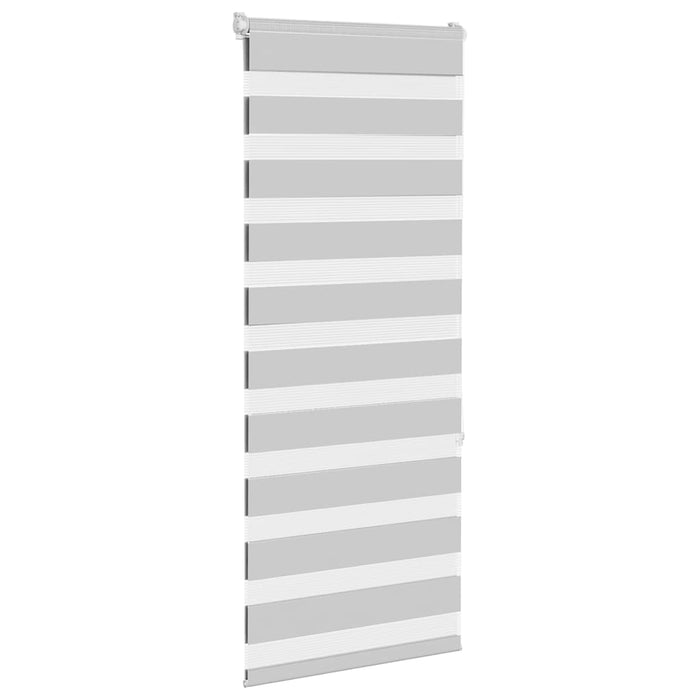 Jaluzea tip zebra gri deschis lățime țesătură 50,9 cm poliester - WALTI WALTI