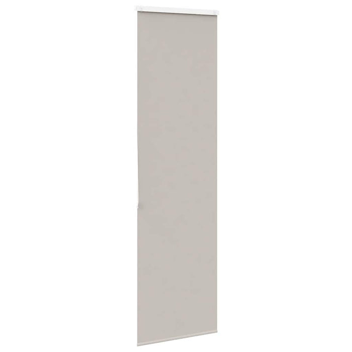 Jaluzea cu role de duș cu casetă 60x240 cm lățime material 56 cm WALTI