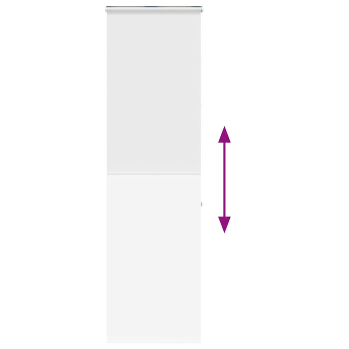 Jaluzea cu role de duș cu casetă 60x240 cm lățime material 56 cm - WALTI WALTI