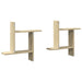 Rafturi perete 2 buc. stejar sonoma 50x12x50 cm lemn prelucrat - WALTI WALTI