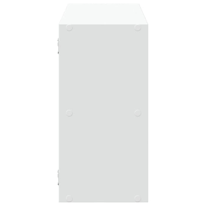 Raft de perete, alb, 100x25x50 cm, lemn prelucrat - WALTI WALTI