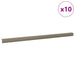Profile pentru marginea treptelor 10 pcs Șampanie 67 x 3 x 2 cm - WALTI WALTI