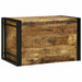 Cutie de depozitare 80 x 50 x 50 cm Lemn mango brut - WALTI WALTI