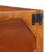 Dulap TV de perete multicolor 100x30x22 lemn masiv de salcam - WALTI WALTI