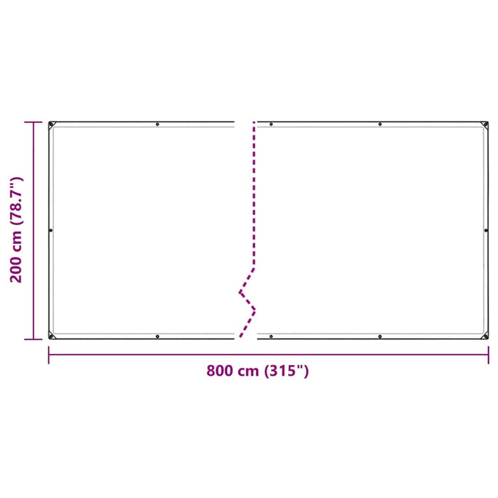 Prelata transparenta cu ochiuri 2x8 m polietilena - WALTI WALTI