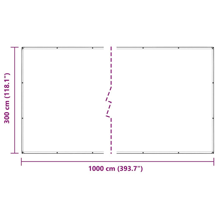 Prelata transparenta cu ochiuri 3x10 m polietilena - WALTI WALTI