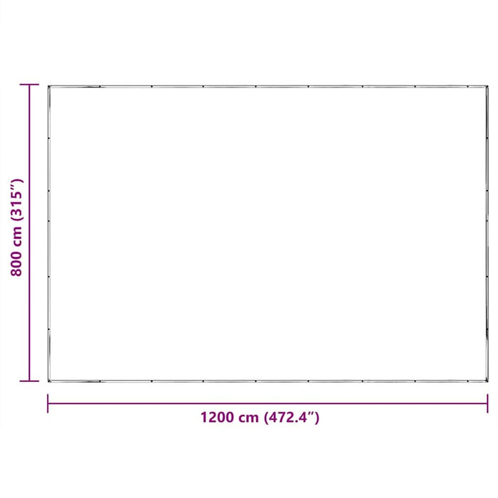 Prelata transparenta cu ochiuri 8x12 m polietilena - WALTI WALTI