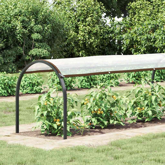 Prelata transparenta cu ochiuri 1x12 m polietilena - WALTI WALTI