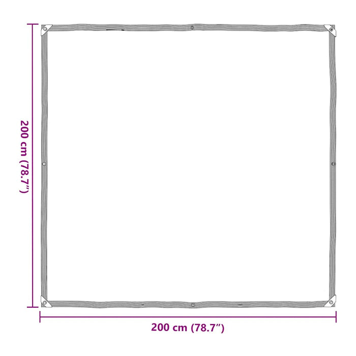 Prelata transparenta cu ochiuri 2x2 m polietilena - WALTI WALTI