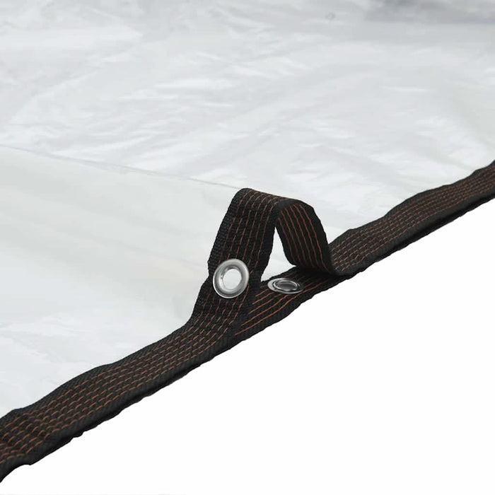Prelata transparenta cu ochiuri 6x10 m polietilena - WALTI WALTI