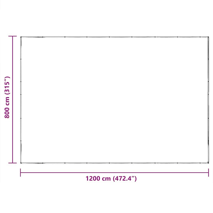 Prelata transparenta cu ochiuri 8x12 m polietilena - WALTI WALTI