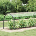 Prelata transparenta cu ochiuri 1x10 m PVC - WALTI WALTI