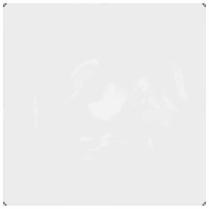 Prelata transparenta cu ochiuri 2x2 m PVC - WALTI WALTI