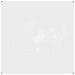 Prelata transparenta cu ochiuri 2x2 m PVC - WALTI WALTI
