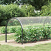 Prelata transparenta cu ochiuri 2x10 m PVC - WALTI WALTI