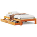  WALTI