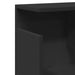 Dulap de perete, negru, 100x20x30 cm, lemn prelucrat - WALTI WALTI