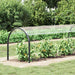 Capac pentru plante cu ochiuri 1x10 m PVC - WALTI WALTI