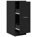 Dulap de farmacie, negru, 30x41x77,5 cm, lemn prelucrat - WALTI WALTI