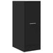 Dulap de farmacie, negru, 30x41x77,5 cm, lemn prelucrat - WALTI WALTI