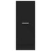 Dulap de farmacie, negru, 30x41x77,5 cm, lemn prelucrat - WALTI WALTI