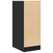 Dulap de farmacie, negru, 30x41x77,5 cm, lemn prelucrat - WALTI WALTI