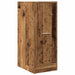 Dulap de farmacie, lemn vechi, 30x41x77,5 cm, lemn prelucrat - WALTI WALTI